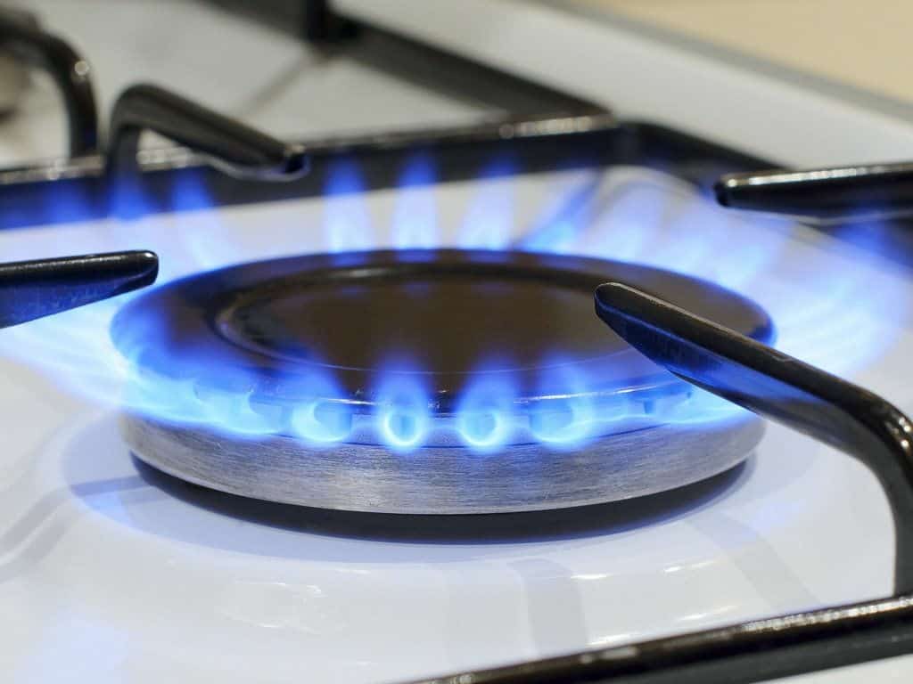 Республика парламенты ауыл халҡына бушлай газ үткәреүҙе хупланы