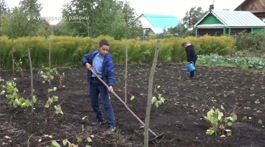 Кушнаренко районы Әхмәт ауылы мәктәбендә ауыл хужалығы тармағын өйрәнеү синыфы асылды
