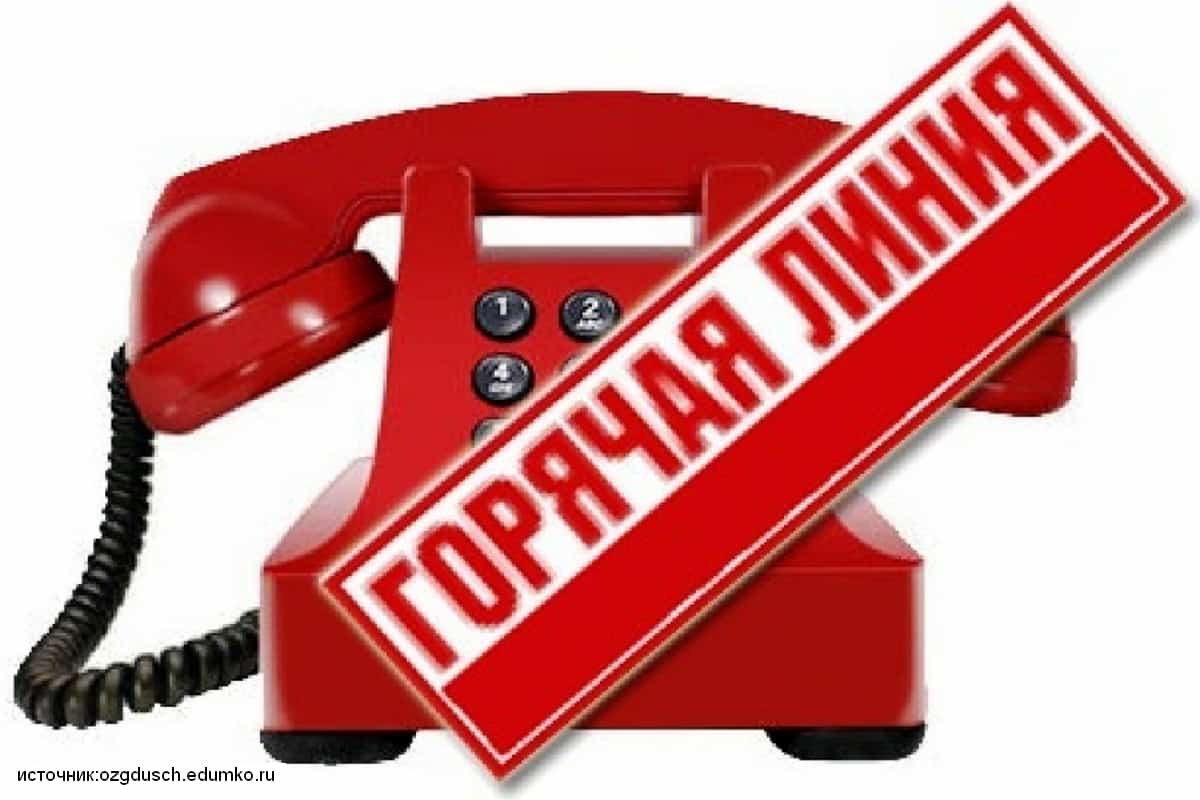 Ил президентының Башҡортостандағы йәмәғәт  бүлмәһендә бөгөн ҡыҙыу линия ойошторолдо