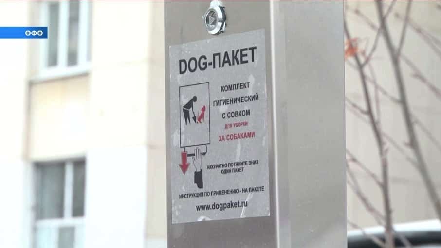 Йорт хайуандарын нисек экологик күҙлектән дөрөҫ итеп тышта йөрөтөргә?
