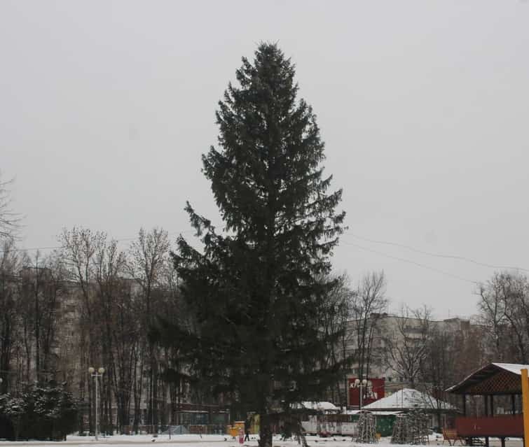 Республика Яңы йылды ҡаршылауға әҙерләнә