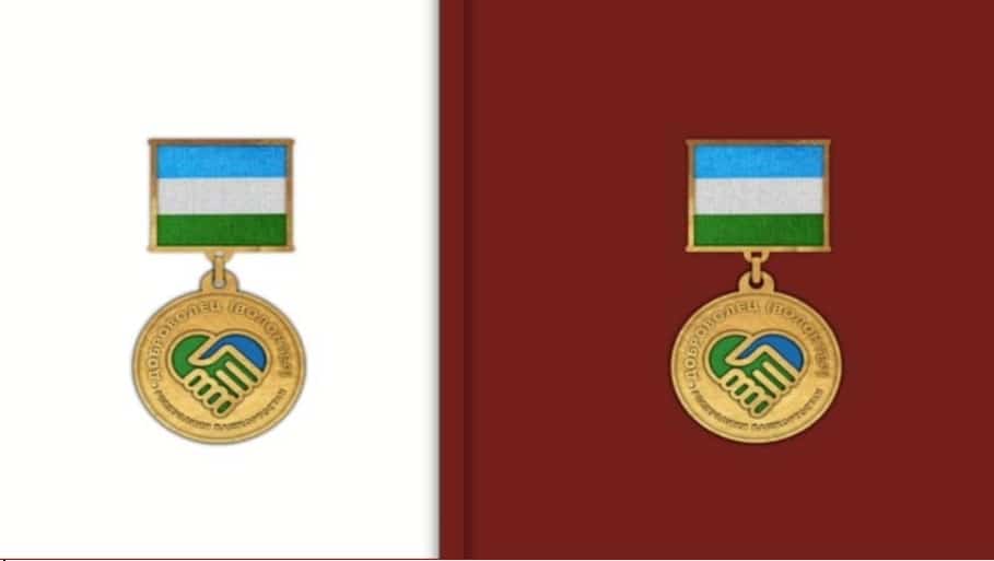 Ирекмәндәргә награда