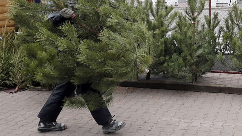 Шыршыны нисек һайларға