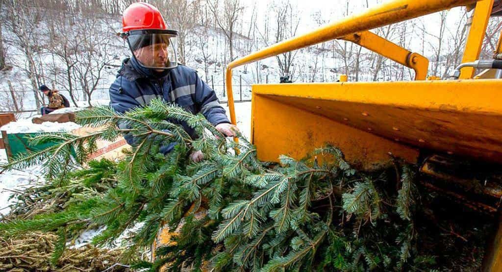 Өфөлә байрамдан һуң яңы йыл шыршылары эшкәртеүгә ҡабул ителә