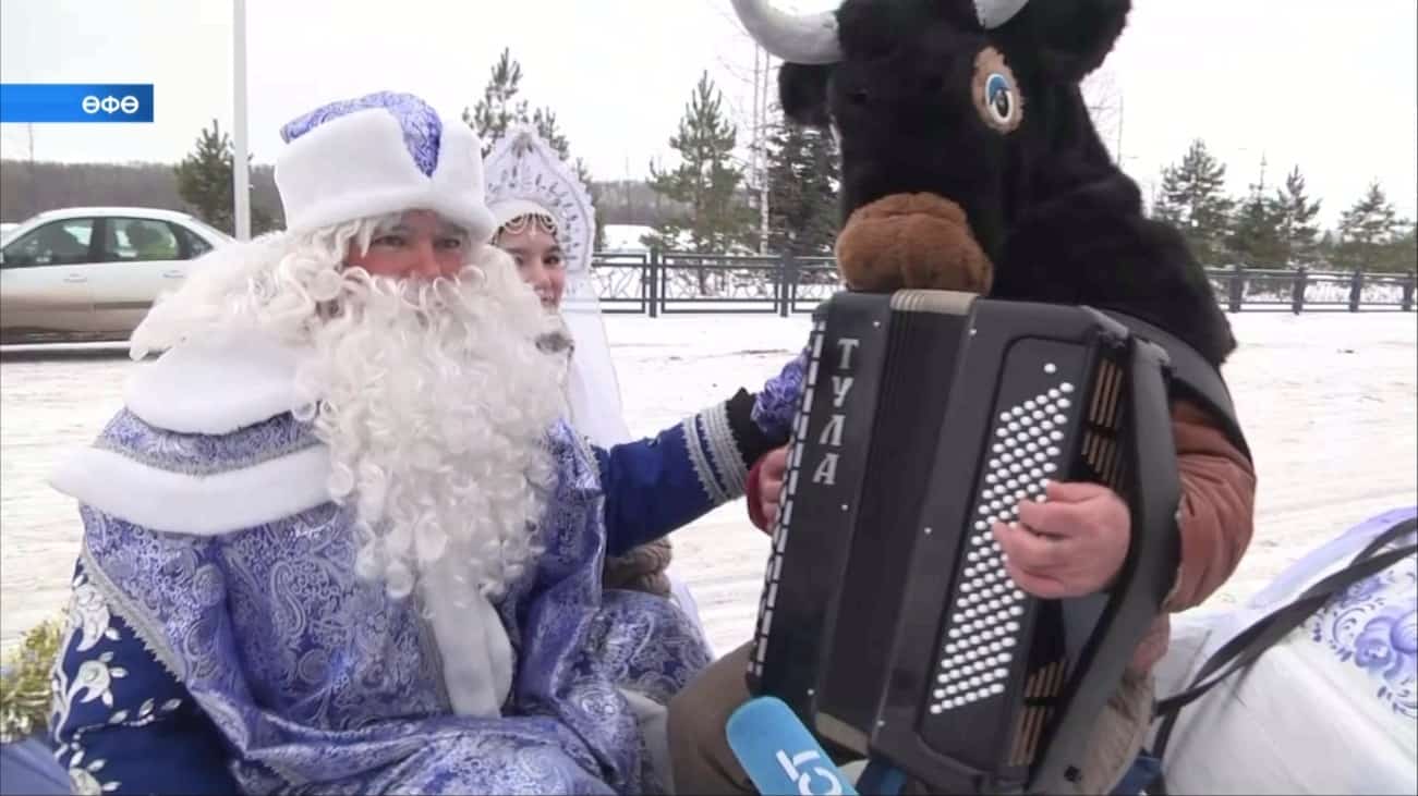 Еҙ тояҡлы юртаҡтар, баянда уйнаусы үгеҙ, пони-далматиндар...