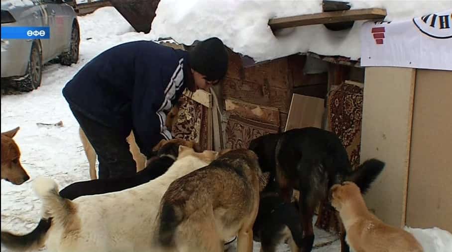 Эт менән эт булалар