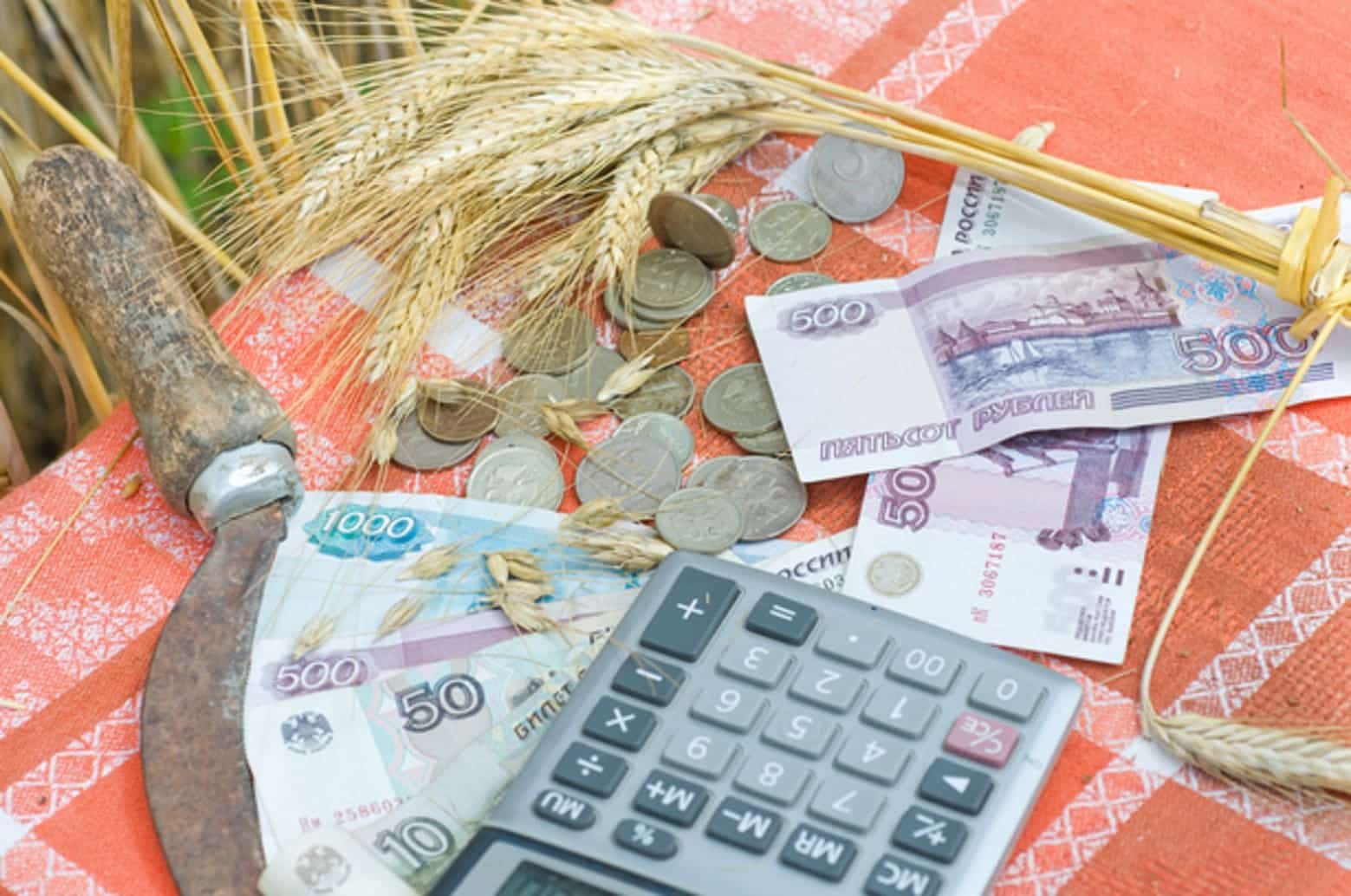 “Агростартап” проекты буйынса 68 эшҡыуарға 200 миллион һумдан ашыу ярҙам күрһәтелгән