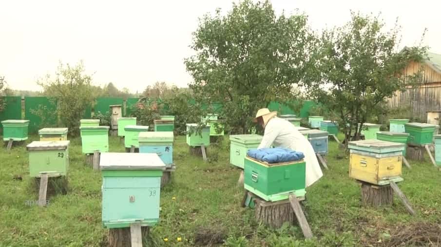 Дәүләт Йыйылышы – Ҡоролтайҙа умартасылыҡ тураһында яңы закон өҫтөндә эш башланды