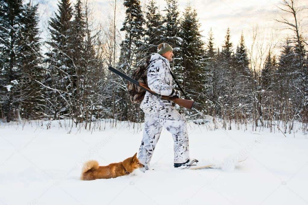 Башҡортостанда африка тағуны таралыу хәүефе бар