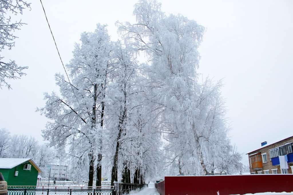 Сатлама һыуыҡтарҙы йылы көндәр алмаштыра