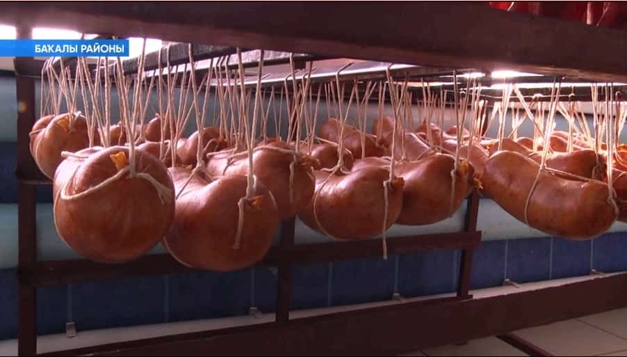 Рәсәйҙә ойошторолған ауыл хужалығы кооперативтарының 13 проценты Башҡортостанға тура килә