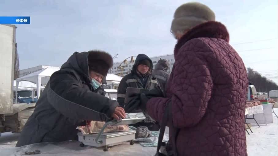 Республика район-ҡалаларында ауыл хужалығы йәрминкәләре үтә