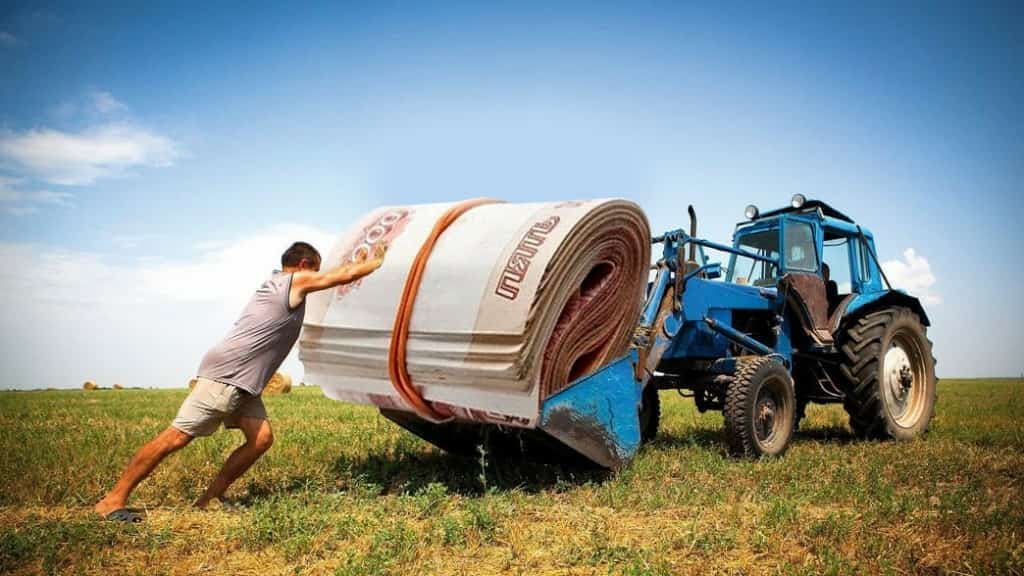 Башҡортостанда хужалыҡтарға 1 миллиард 100 миллион һум субсидия бирелә