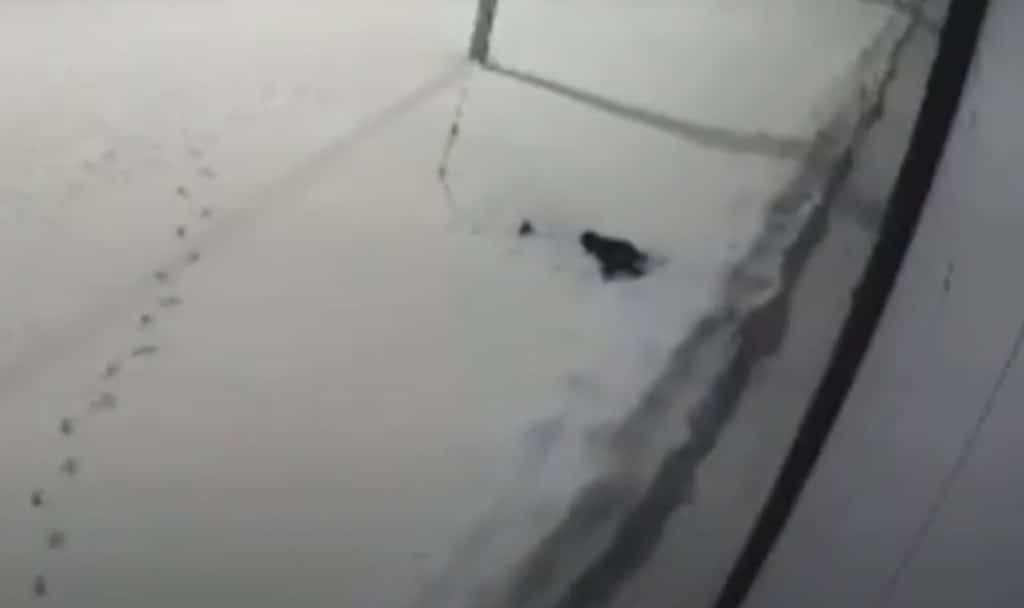 Өфөлә бер бала тәҙрәнән ҡолаған