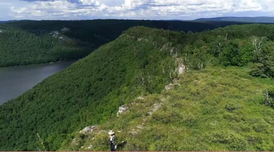 Рәсәйҙә турагентлыҡтарҙың берҙәм федераль реестры барлыҡҡа килә