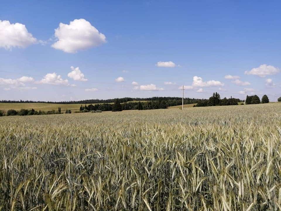 Башҡортостандың Урал аръяғында баҫыуҙар ҡоролоҡтан ҡотҡарыла