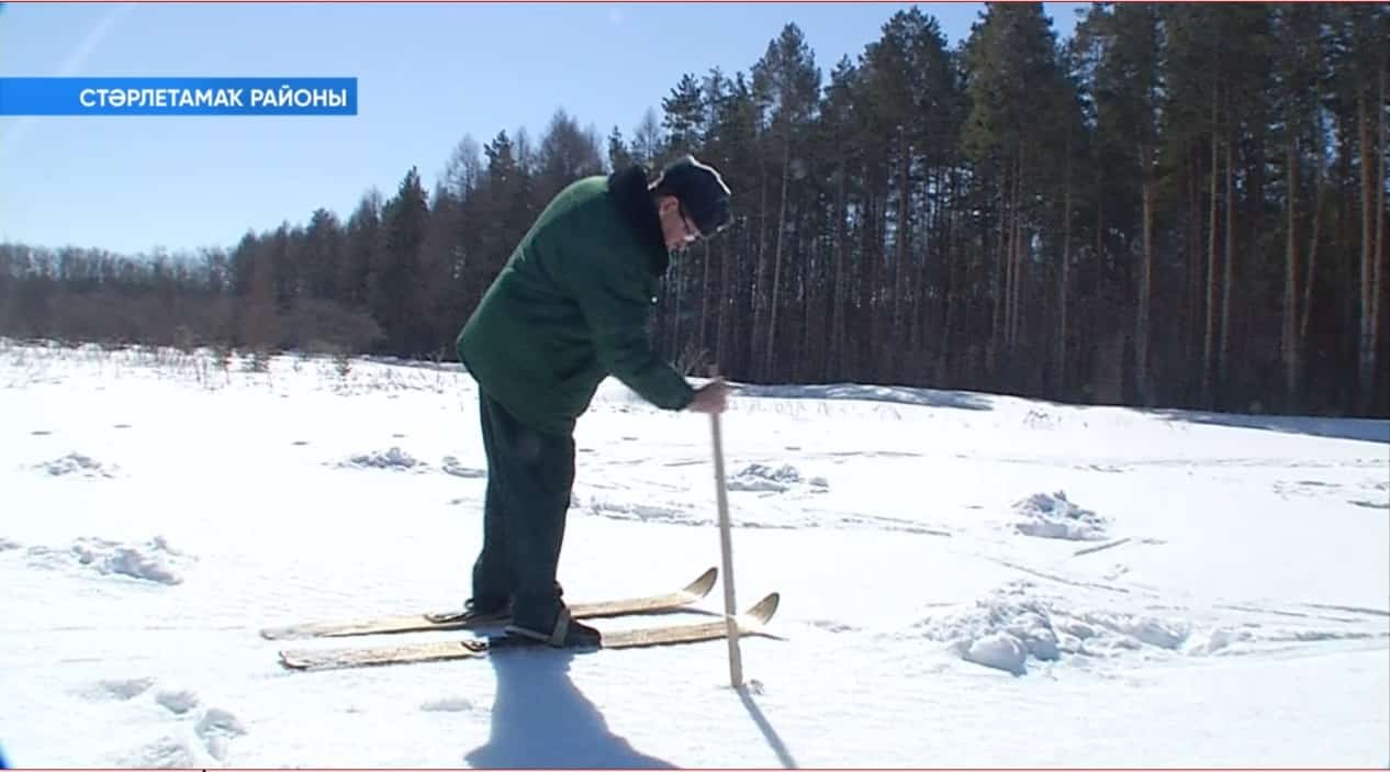 Буласаҡ урмандарҙы хәстәрләп...