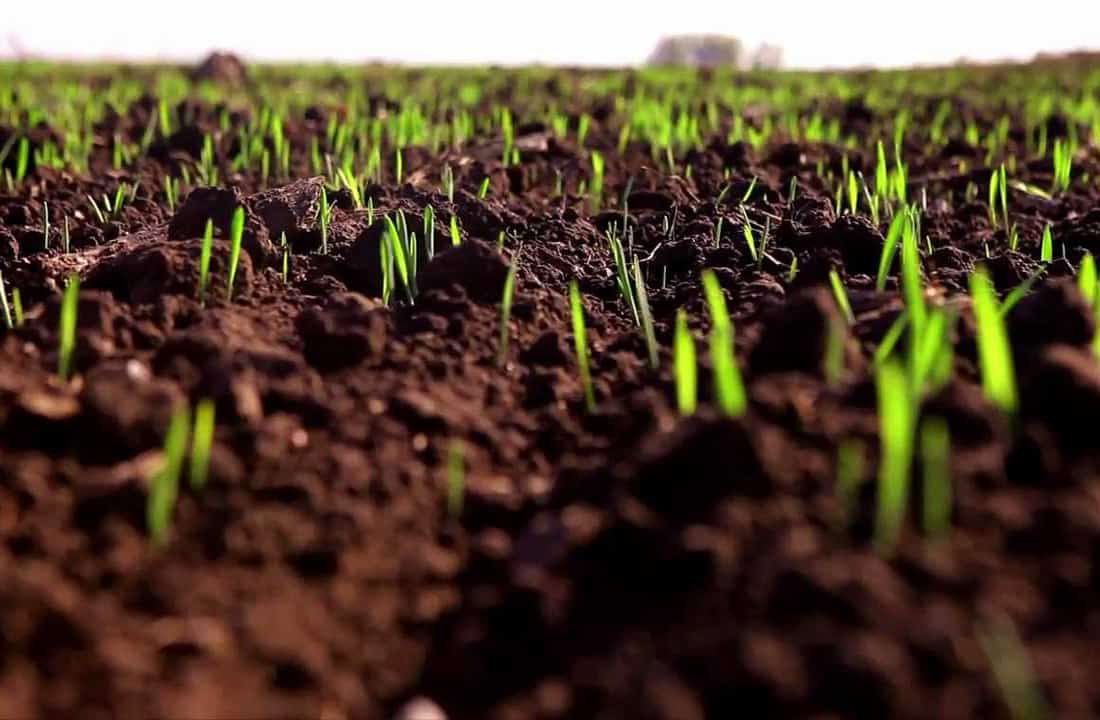 Быйыл республика хужалыҡтарына 3 миллион гектарҙа яҙғы баҫыу эштәрен атҡарып сығыу бурысы тора