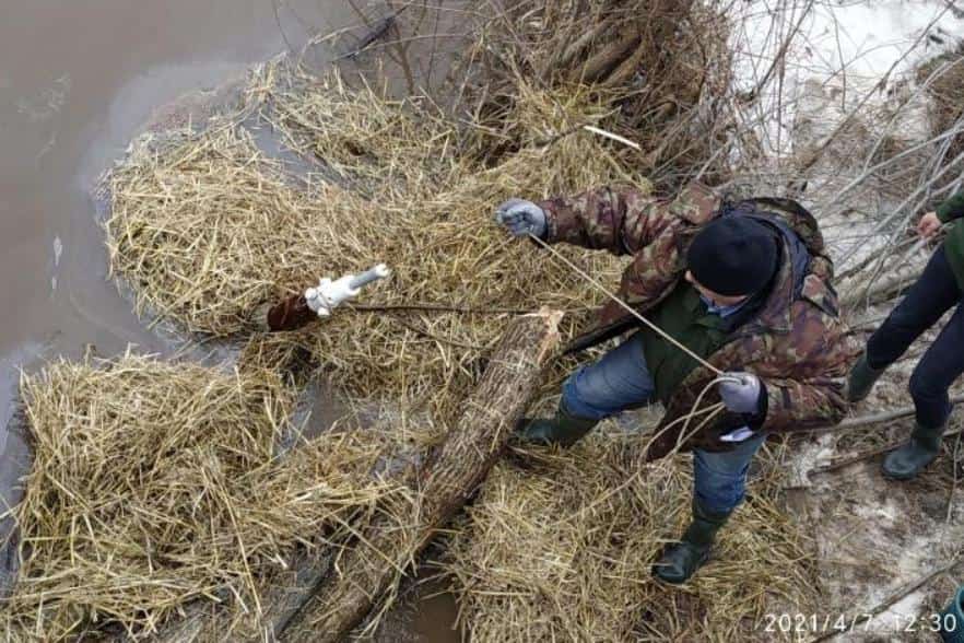 Башҡортостанда Һарыяҙ йылғаһының бысраныу сәбәптәрен асыҡлайҙар