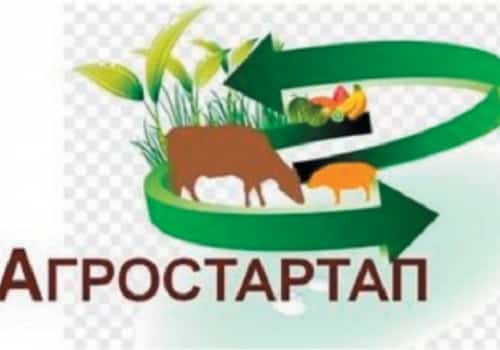 Башҡортостанда “Агростартап” конкурсын уҙғарыу тәртибенә үҙгәреш индерелә