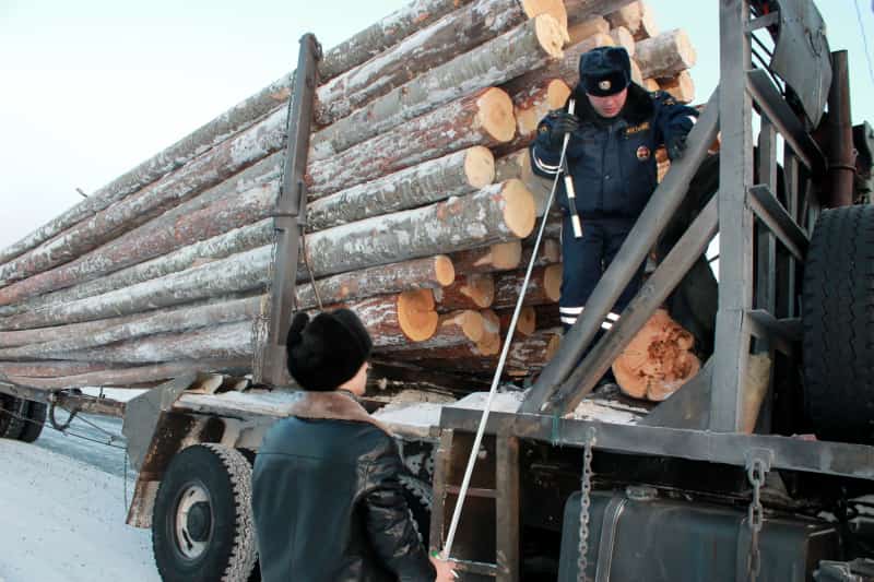 Башҡортостанда “Урман ташыусы” операцияһына йомғаҡ яһалды