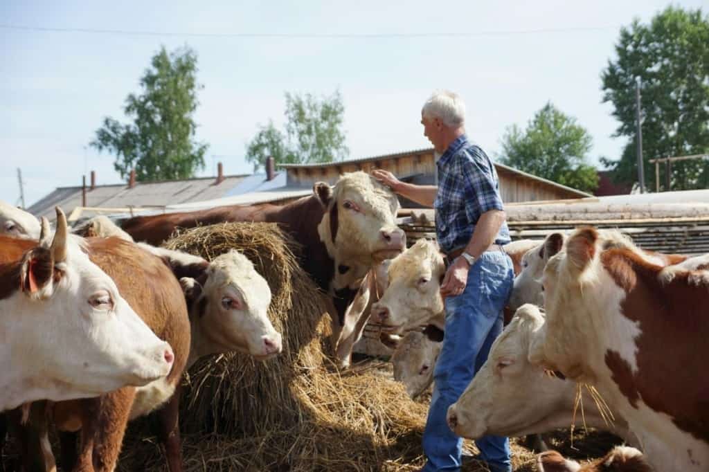 Быйыл ауыл фермерҙарына гранттар өсөн 600 миллион һум бүленде