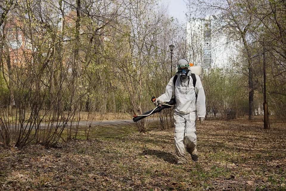 Башҡортостанда халыҡ күпләп йөрөгән урындарҙы талпан-серәкәйҙән, сысҡандарҙан эшкәртеү дауам итә