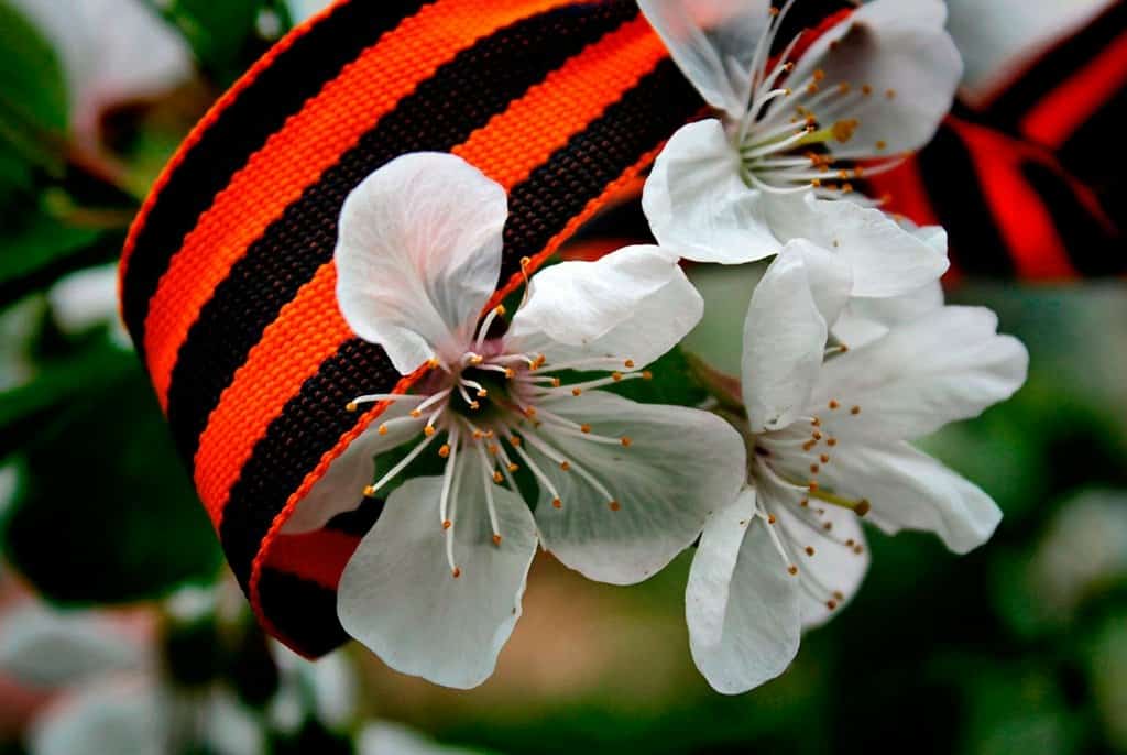 Рәсәй халҡын иртәгәнән оҙайлы ялдар көтә