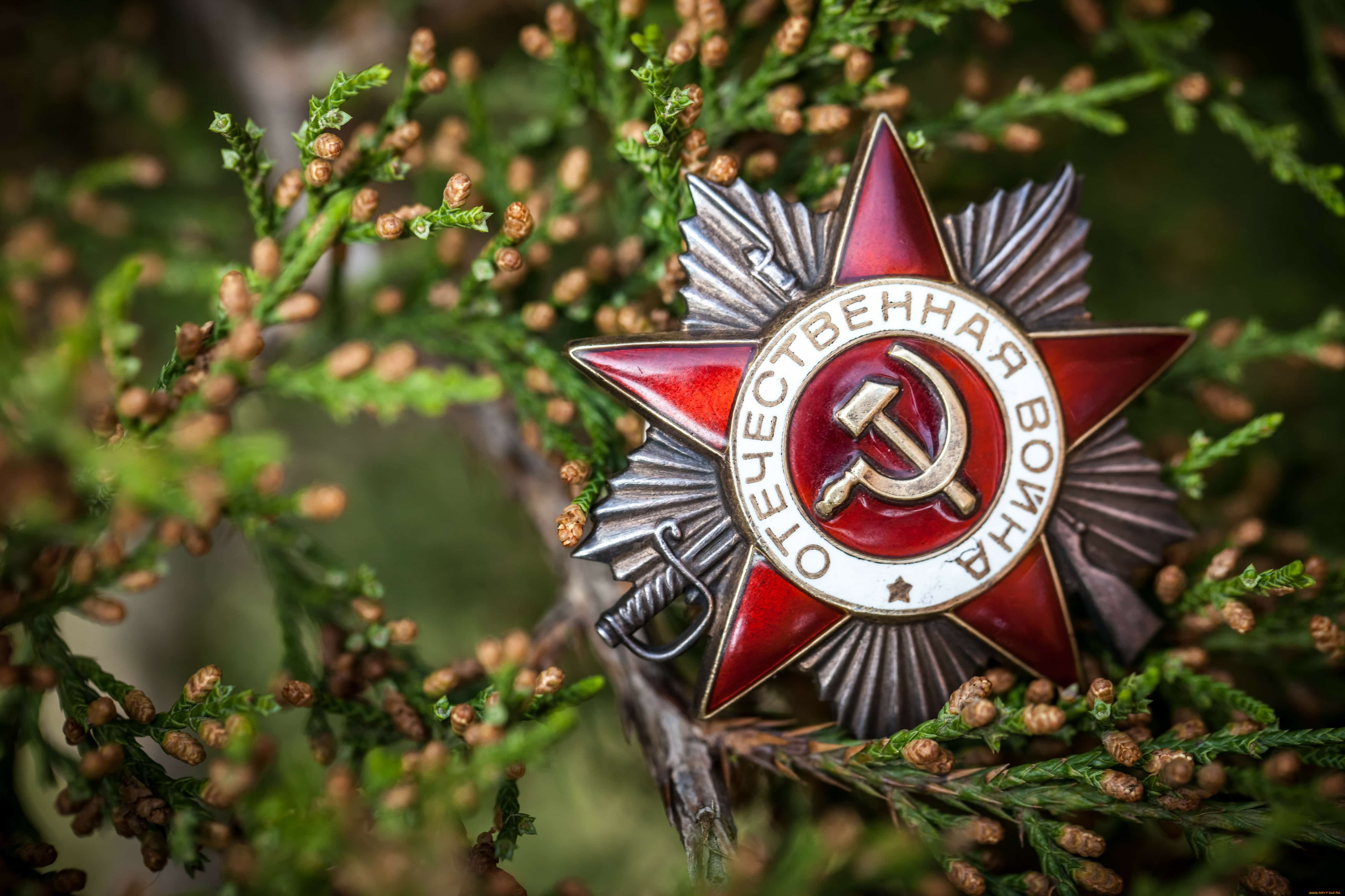 Быйыл Бөйөк Ватан һуғышында Еңеүгә 76 йыл тула