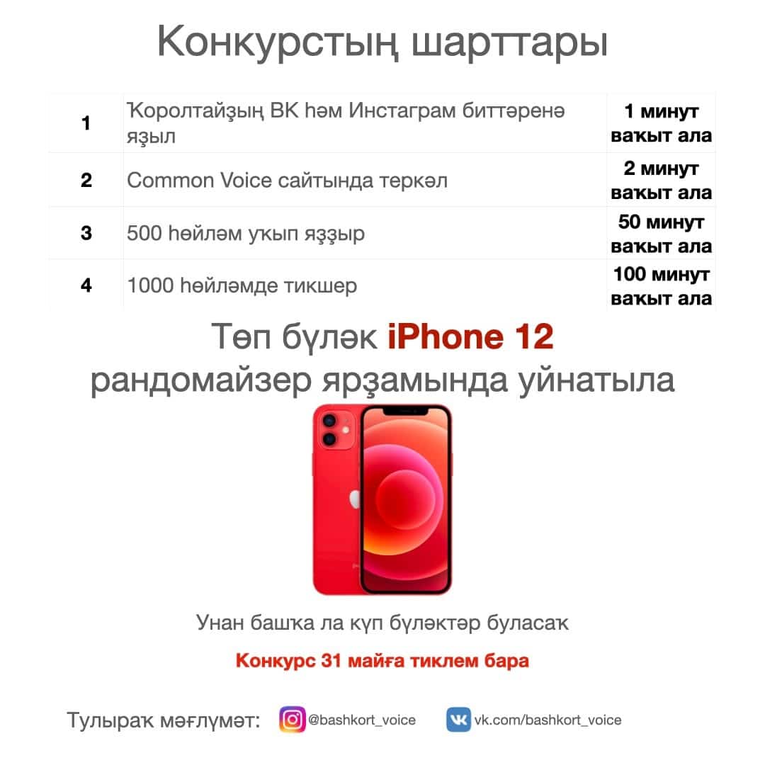 Фото №1 - Интернетты башҡортса һөйләшергә өйрәт!