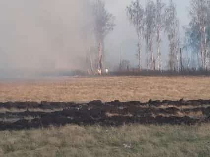 Республика урмандарында  янғын сығыу хәүефе арта
