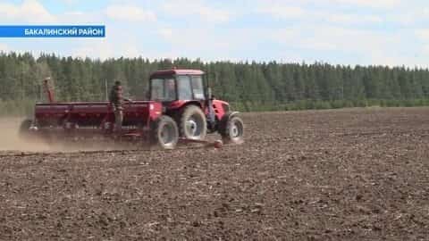 Республика аграрийҙары иртә культуралар сәсеүҙе тамамлай