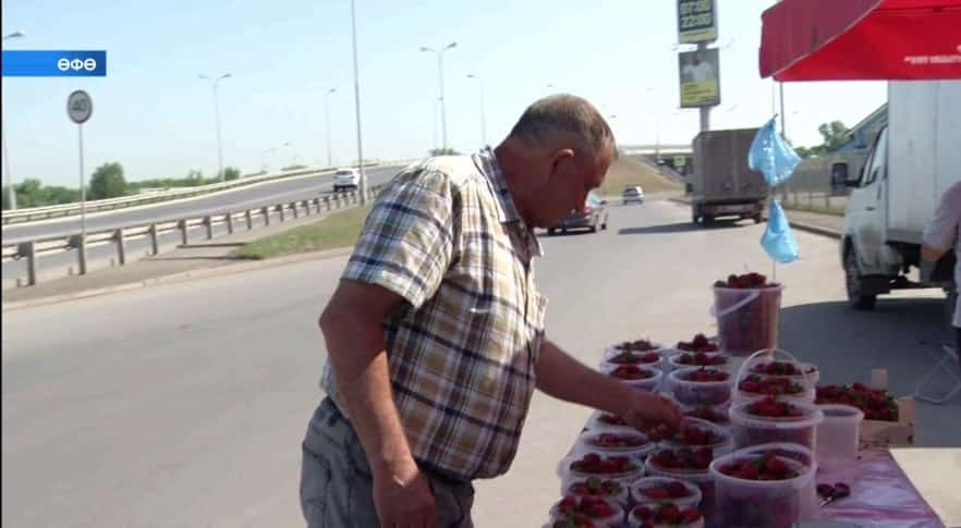 Өфө баҙарҙарына баҡса еләге һатыуға сығарыла башланы