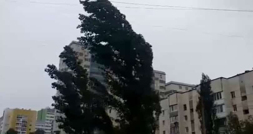 Синоптиктар бөгөн Башҡортостан райондарында көслө ел хаҡында иҫкәртә