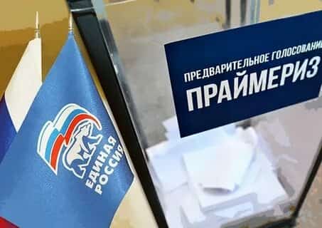 Башҡортостанда 166 меңдән ашыу кеше праймеризда электрон тауыш биреүҙә ҡатнашҡан