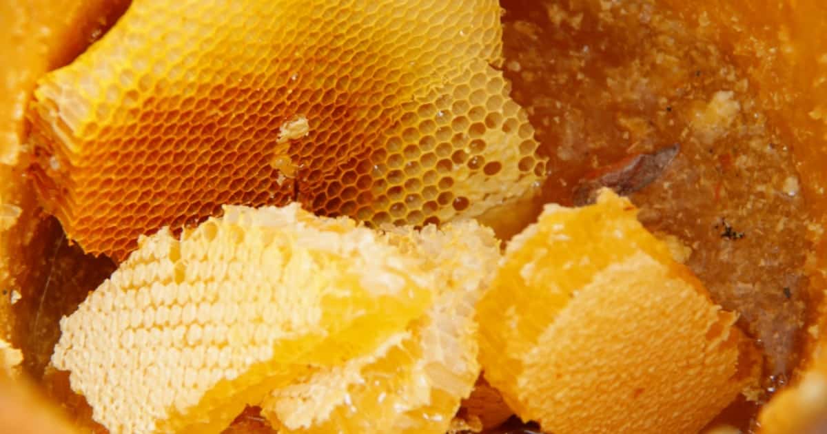 Өфөләге компания етештергән умартасылыҡ продукцияһы Европаға оҙатыла башланы