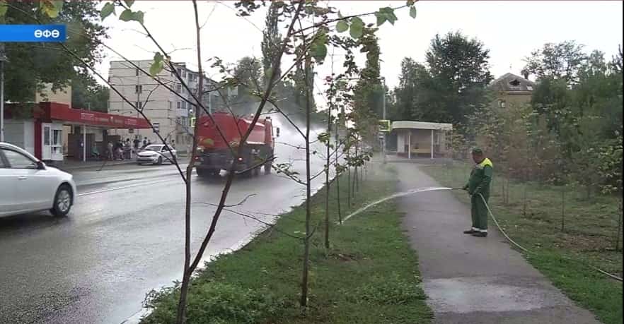 Аномаль һауа торошо ике тиҫтәнән ашыу эре ағасты ҡоротҡан