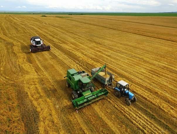 Республика хужалыҡтары 552 мең тонна уңыш йыйҙы