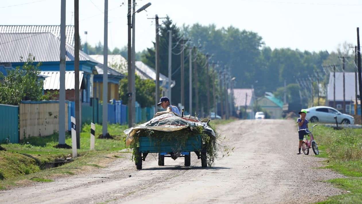 Башҡортостанда ауыл хужалығы иҫәбен алыуға  2000 кеше йәлеп ителде