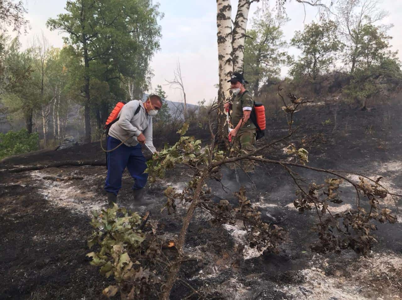 Башҡортостанда урман янғындары менән ирекмәндәр ҙә көрәшә