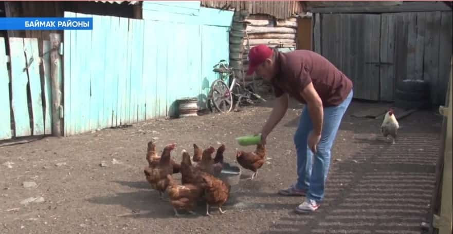 Баймаҡта ауыл хужалығы иҫәпкә алына