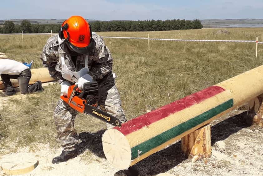 Иглин районында урман ҡырҡыусылар конкурсы уҙғарылды