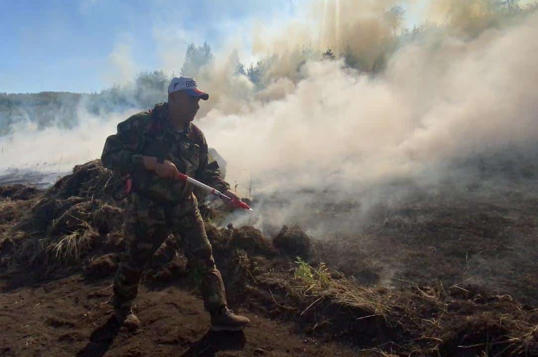 Республика урмандары өсөн көрәш дауам итә