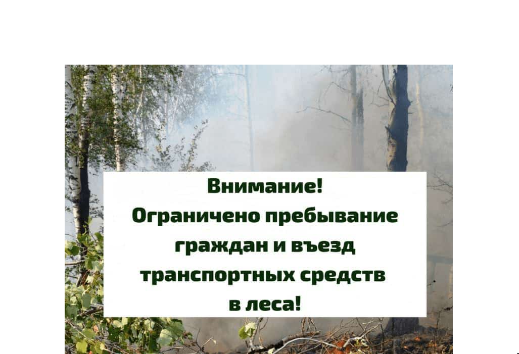 Башҡортостан урмандарына инеү сикләнде