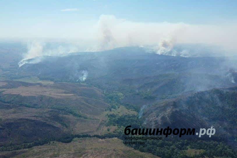 Республикала  урман янғындары кәмеүгә бара