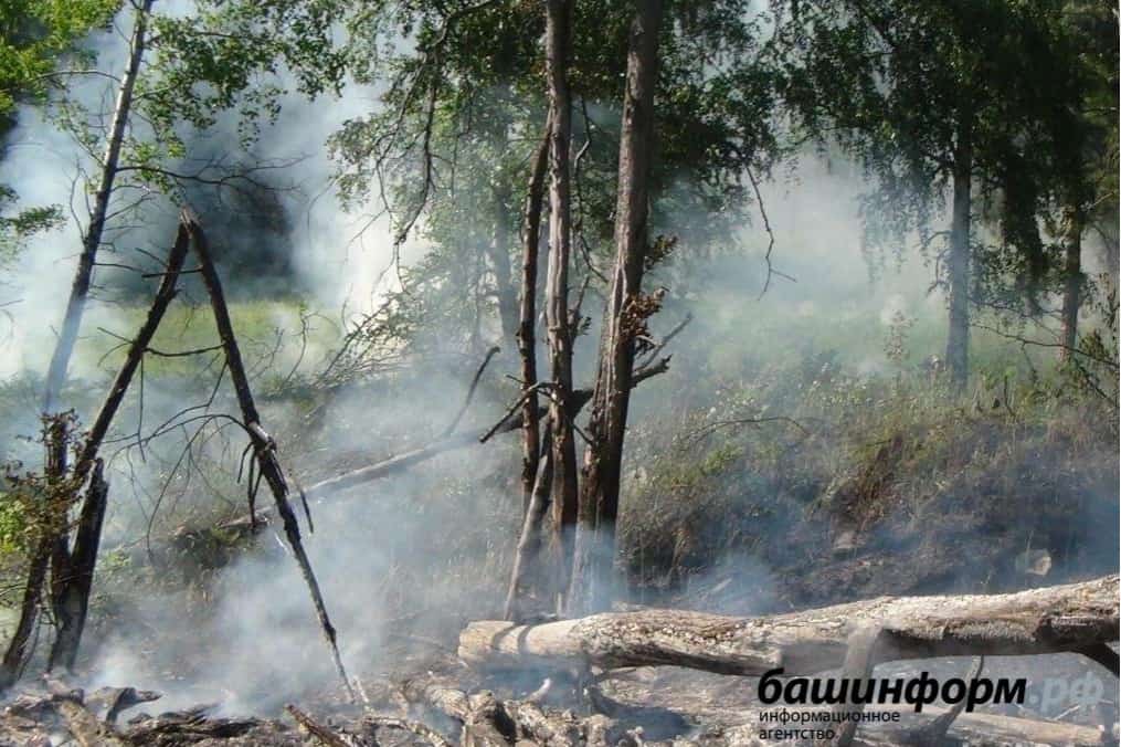 Урман хужалығы министрлығы янғын хәүефе тураһында  иҫкәртә