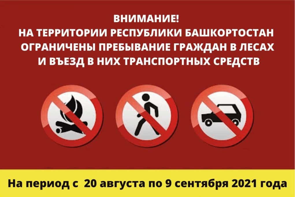 Башҡортостанда 9 сентябргә тиклем урмандарға инергә ярамай