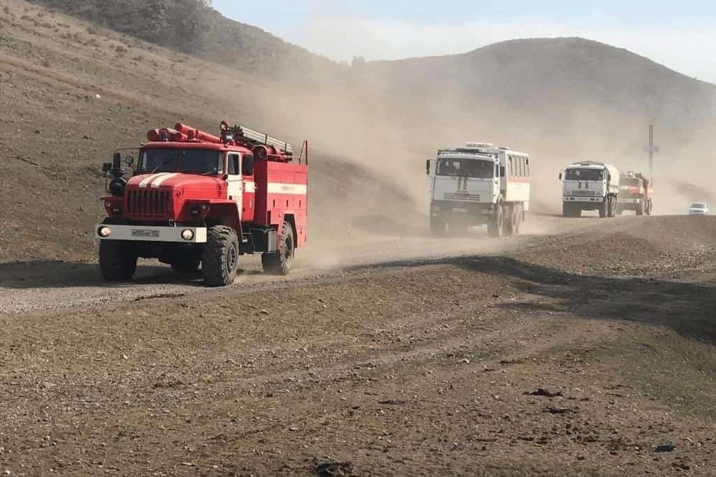 Республикала 470 гектарҙа урман яна