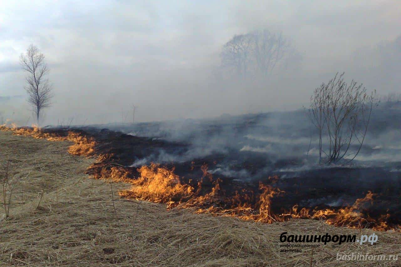 Бөгөн Республикала 10 урында янғын менән көрәшәләр