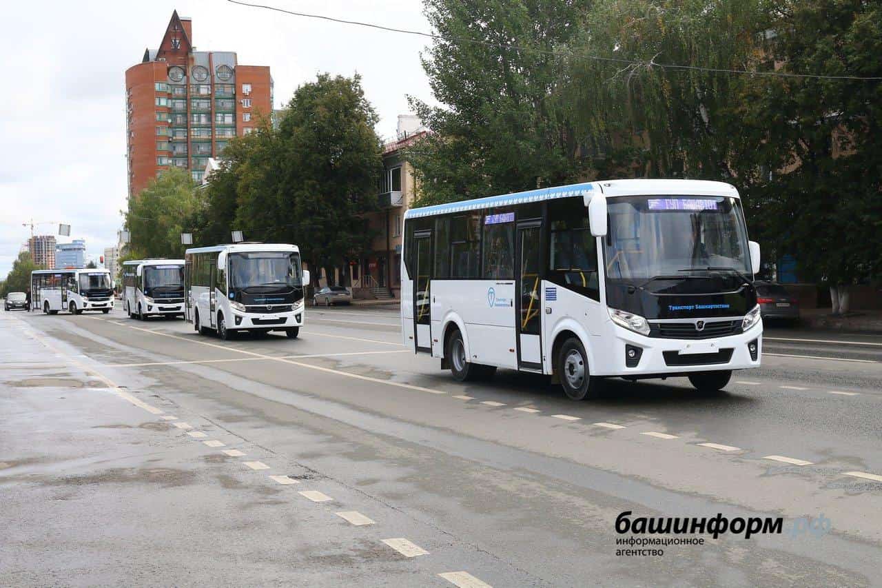 Республикала  автобуста ла  тауыш бирергә мөмкин